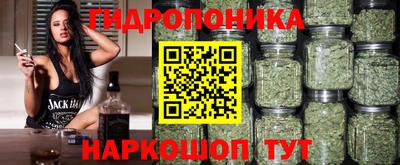 стафф Нальчик