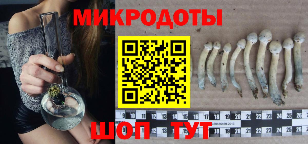 Псилоцибиновые грибы MAGIC MUSHROOMS Строитель